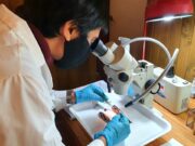 La ciencia investiga para el desarrollo de la Acuicultura en el país