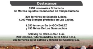 Colombo y Magliano remató 16.500 cabezas