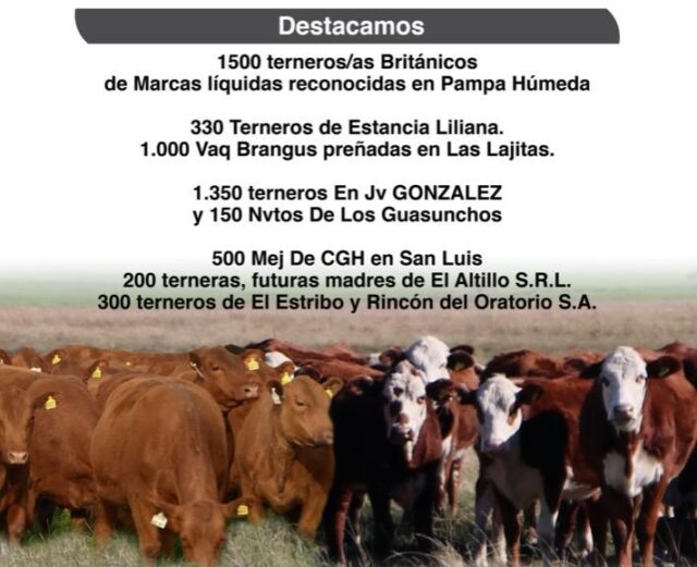 05 - 06 - remate Colombo y Magliano 2