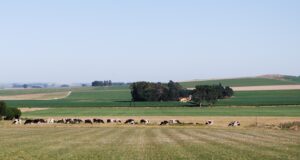 Bioeconomía, una estrategia para reducir el estrés sobre el ambiente