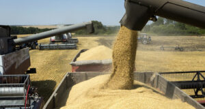 Cinco empresas se quedaron con casi el 60% de las exportaciones agroindustriales locales