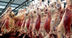 El Gobierno convoca a organizaciones involucradas antes de reabrir la exportación