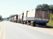 Detuvieron 10 camiones con transporte ilegal de soja
