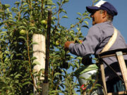La inflación, el fantasma tan temido para los salarios. En mayo, 3,3%