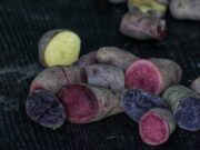 Presentan una nueva edición limitada de los chips de papas andinas