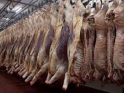 Qué dice el nuevo decreto sobre las exportaciones de carne