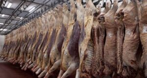 Qué dice el nuevo decreto sobre las exportaciones de carne