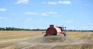 ¿Cómo se distribuye el mercado mundial de fertilizantes?