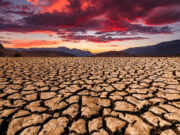 Dramático pronóstico de la ONU por el cambio climático