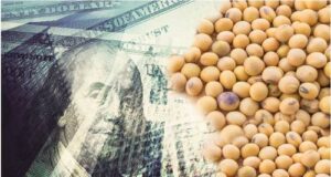 El informe USDA sorprendió y la soja subió casi US$ 30 en Chicago
