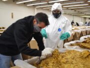Fiscalizaron más de 9,5 millones de kilos de tabaco para exportar a China