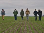 Fomento a la agroecología: Destacan el trabajo de emprendimientos productivos