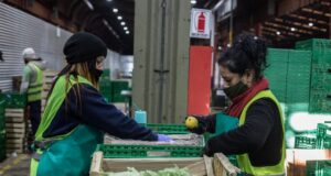Cómo funciona el Programa de Reducción de Pérdidas del Mercado de Buenos Aires