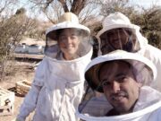 La agtech argentina que “entrena” abejas, consiguió una millonaria inversión
