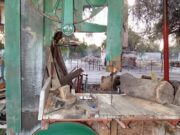 Duerme en el Senado un proyecto para declarar a la leña larga y la viga de madrea como recurso estratégico de San Luis