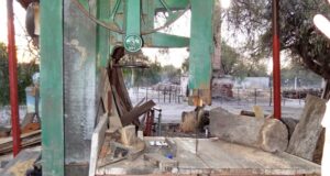 Duerme en el Senado un proyecto para declarar a la leña larga y la viga de madrea como recurso estratégico de San Luis