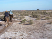 «Los Llanos de La Rioja versus la desertificación, una lucha que no debe claudicar»