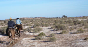 «Los Llanos de La Rioja versus la desertificación, una lucha que no debe claudicar»