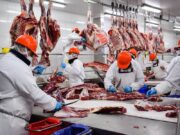 IPCVA: Efectos negativos del cierre parcial a las exportaciones de carne