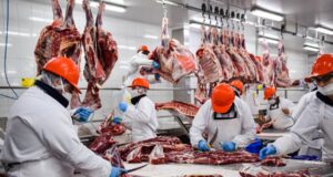 IPCVA: Efectos negativos del cierre parcial a las exportaciones de carne