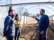 En julio, el gobierno puntano lanzará nuevamente el Plan de Activación Frutihortícola”