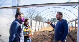 En julio, el gobierno puntano lanzará nuevamente el Plan de Activación Frutihortícola”