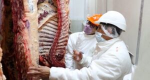 Promueven recuperar el precio popular de la carne