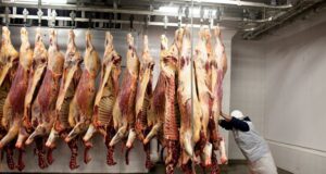 Presentan proyecto de incentivo agroindustrial