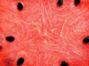 Descubren origen de las sandías gracias a pinturas de tumbas egipcias
