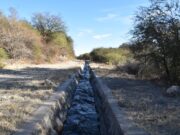 ¿Cómo está compuesto el sistema de canales de San Luis?