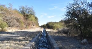 ¿Cómo está compuesto el sistema de canales de San Luis?