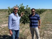 El proyecto sanjuanino Pistachos de los Andes crece y genera nuevas oportunidades para emprendedores