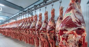 Nuevo cepo a la carne: advierten que se perderán US$1200 millones