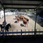 WhatsApp Image 2021-06-01 at 11.04.23 (1)