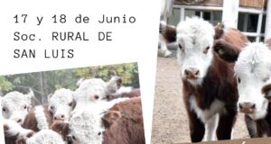 La Rural de San Luis fijó nueva fecha para su 41° Fiesta del Ternero