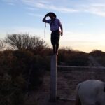 cabalgata-7jpg