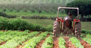 El 2 de julio se celebra el Día de la Agricultura Nacional