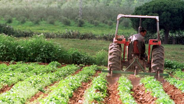 02 - 07 - día de la agricultura