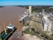 En junio, agroexportadores liquidaron US$ 3.358 millones
