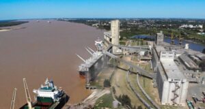 En junio, agroexportadores liquidaron US$ 3.358 millones