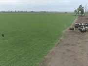 Producir en el tambo, con criterio de sustentabilidad