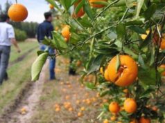 Lanzarán créditos a tasa cero para cooperativas y emprendedores