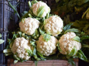 Rescatando el valor nutritivo del brócoli y coliflor