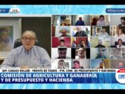 Diputados: dictamen favorable para el proyecto de ley ovina