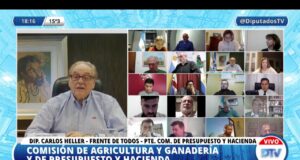 Diputados: dictamen favorable para el proyecto de ley ovina