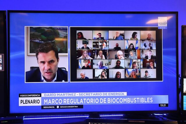 08 - 07 - Biocombustibles en el Senado