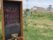 Rosario: El programa de Agricultura Urbana que recibió un premio internacional