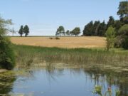 Premian al INTA Paraná por su tarea en la conservación del suelo