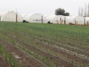 Aprueban proyectos para la agricultura familiar de Misiones y frutihorticultura de Buenos Aires