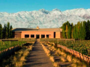 El mejor Cabernet Sauvignon del mundo es argentino